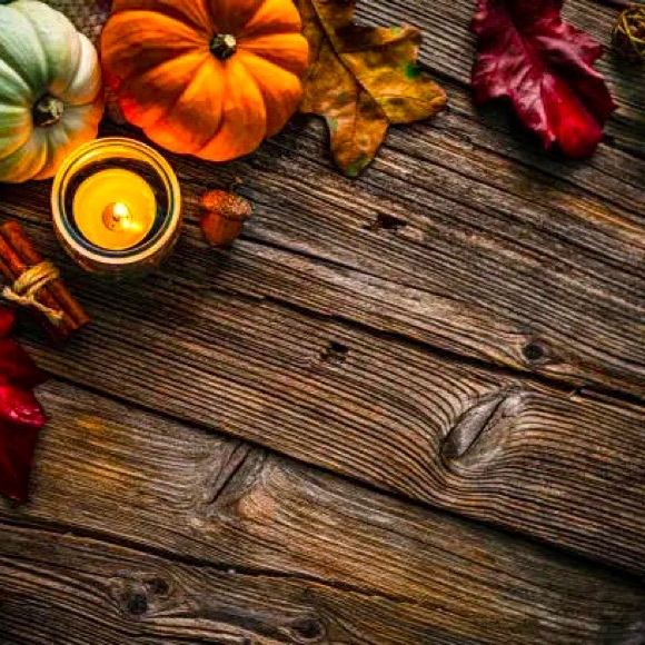 Meet your Posher, Janna - Picture 1 of 1